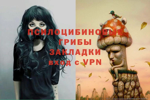 бошки Богородицк